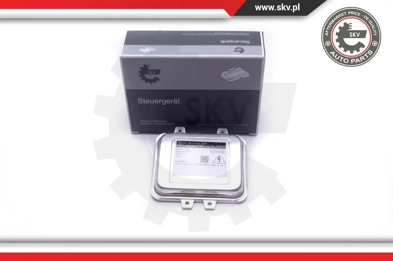 Control Unit, lights (59SKV004)