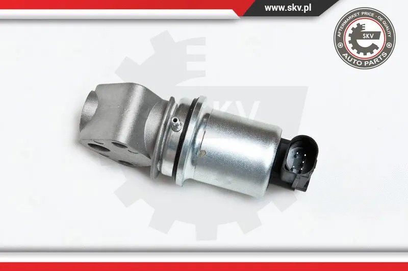 EGR Valve (14SKV007)
