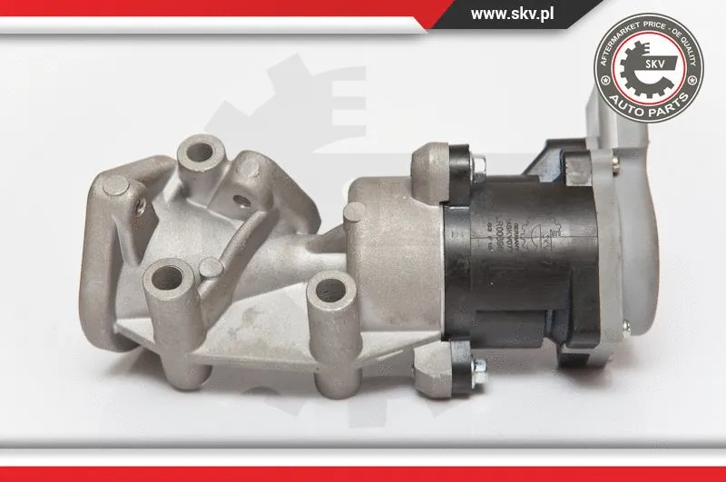 EGR Valve