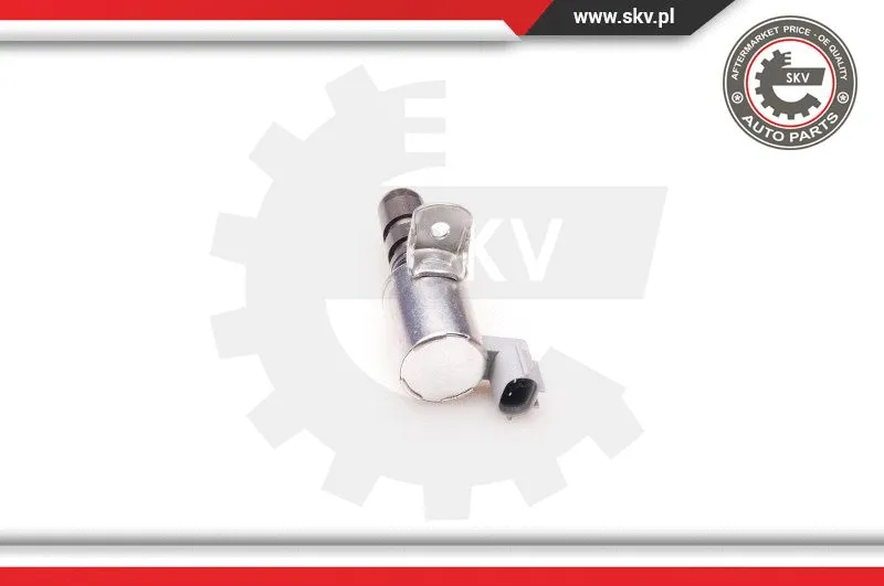 Control Valve, camshaft adjustment (39SKV006)