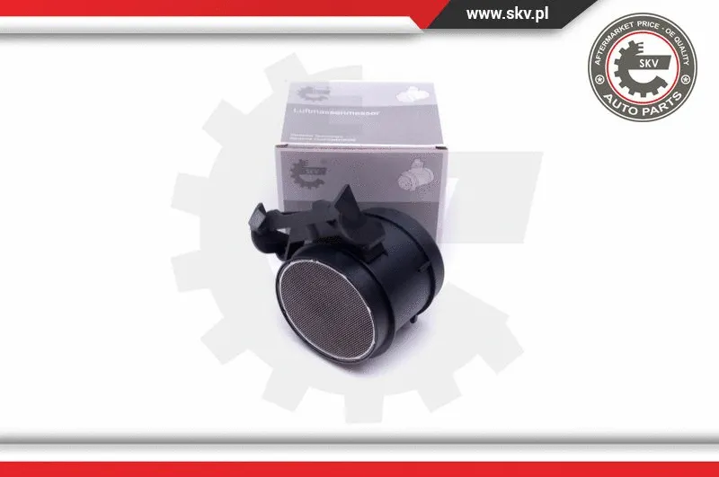 Mass Air Flow Sensor (07SKV160)
