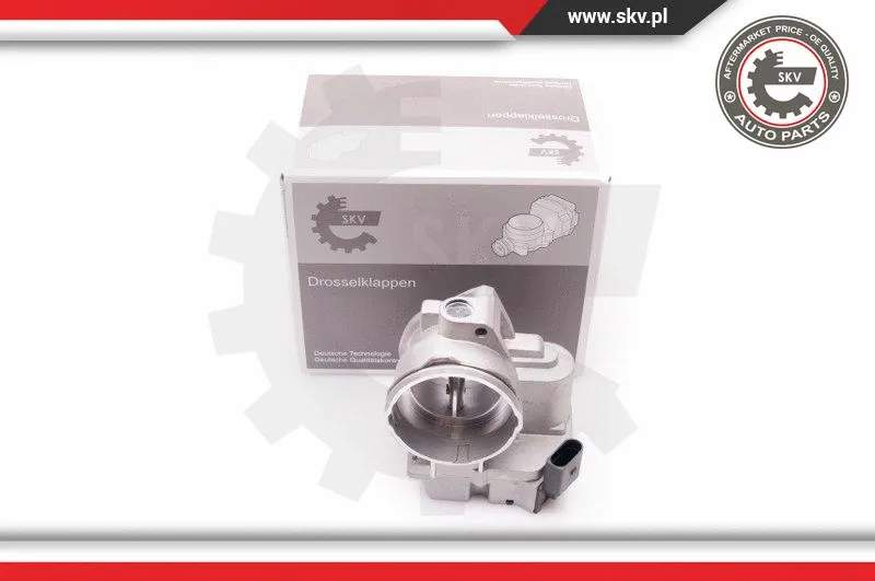 Throttle Body (12SKV062)