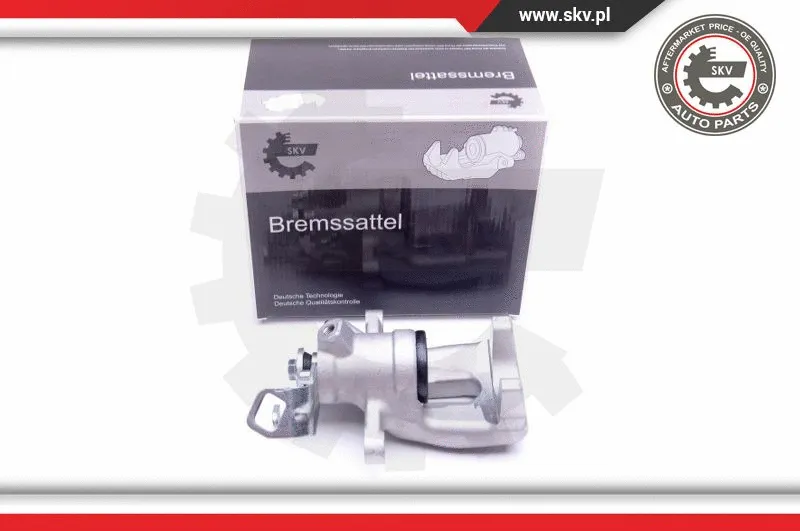 Brake Caliper (44SKV393)