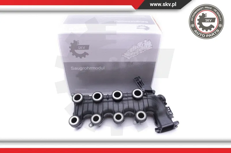 Intake Manifold Module (49SKV022)