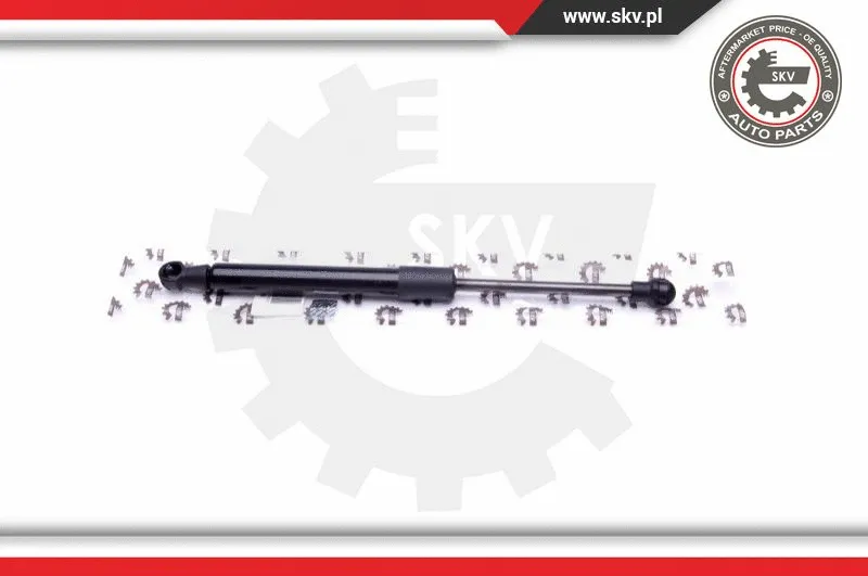 Gas Spring, boot/cargo area