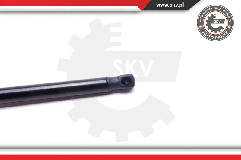 Gas Spring, boot/cargo area