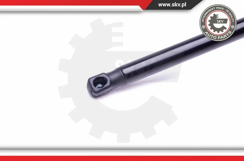 Gas Spring, boot/cargo area
