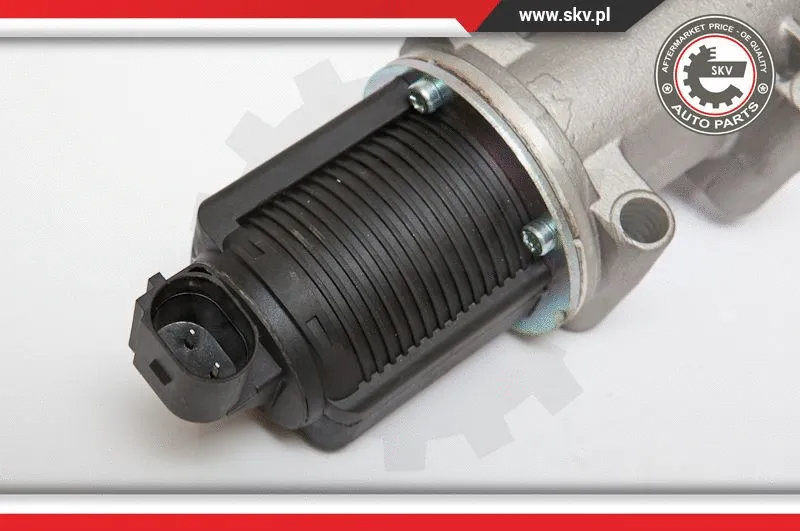 EGR Valve