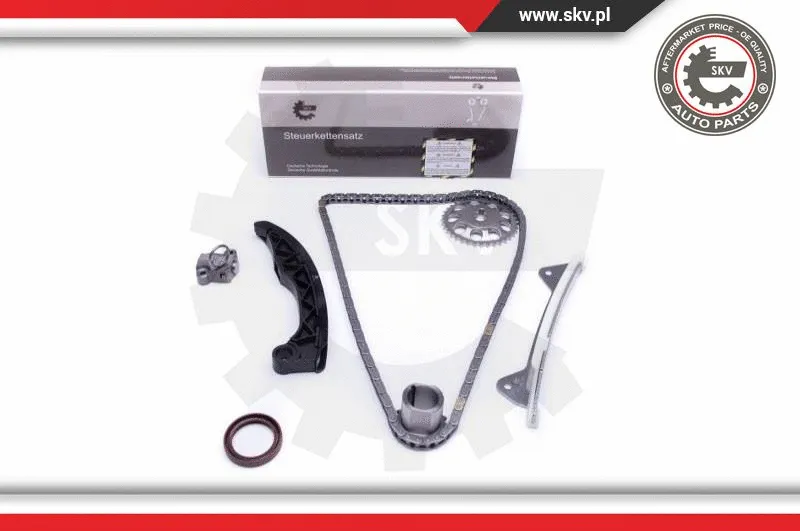 Timing Chain Kit (21SKV228)