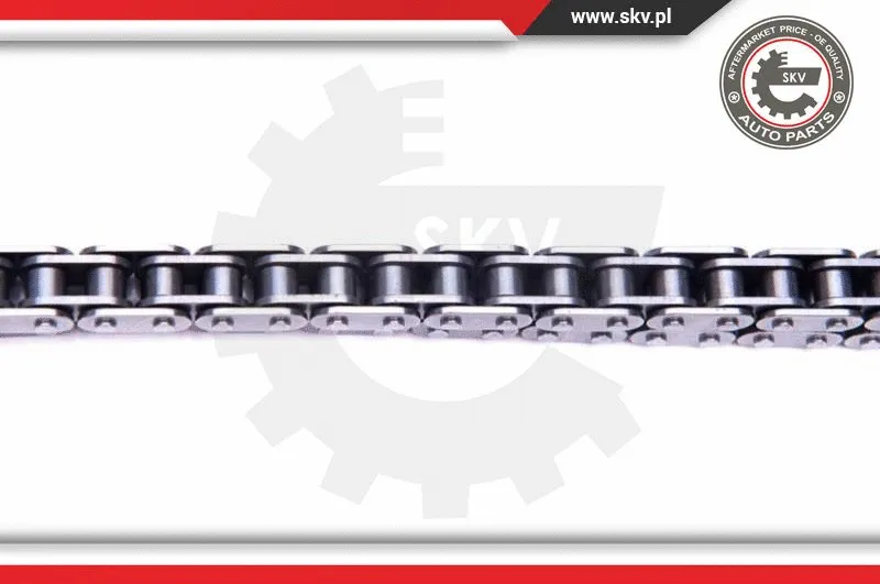 Timing Chain Kit