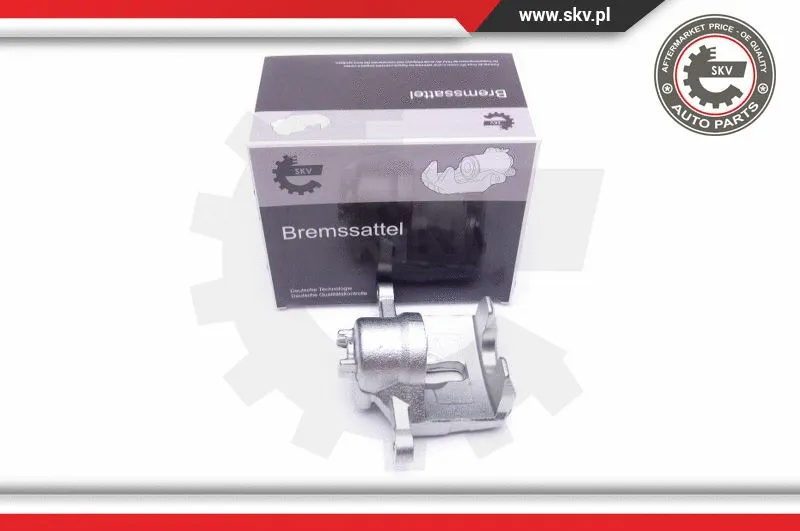 Brake Caliper (42SKV473)