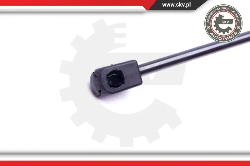 Gas Spring, boot/cargo area