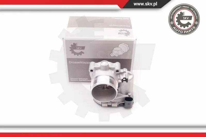 Throttle Body (12SKV068)