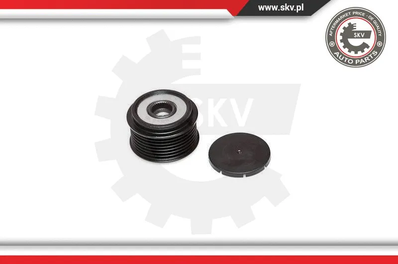 Alternator Freewheel Clutch (11SKV028)