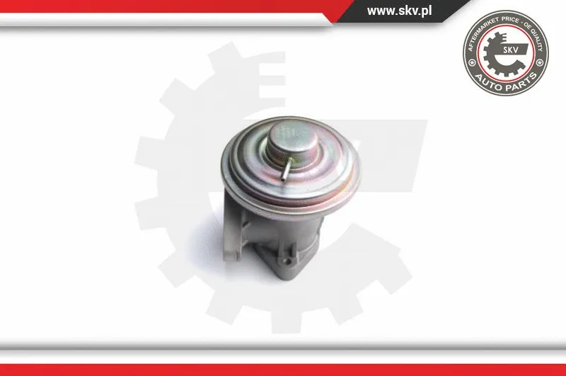 EGR Valve (14SKV098)