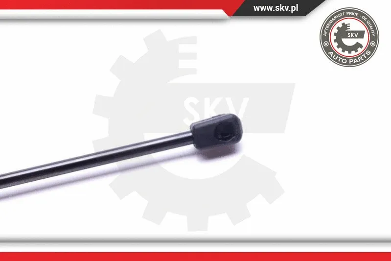 Gas Spring, boot/cargo area