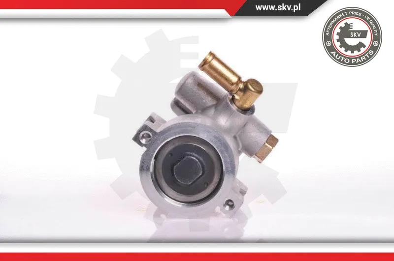 Hydraulic Pump, steering (10SKV120)