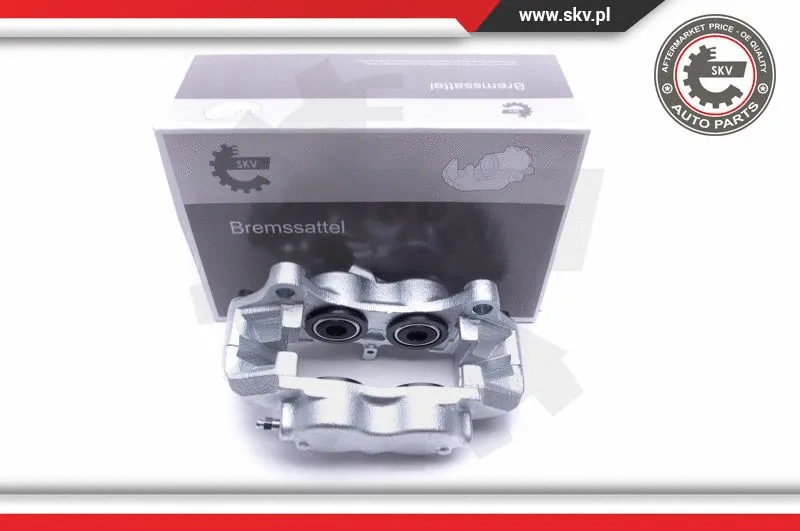 Brake Caliper (46SKV072)