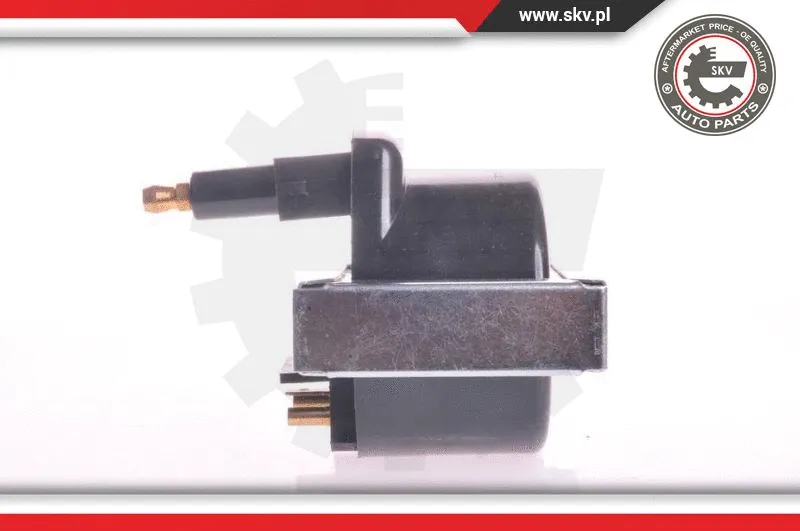 Ignition Coil