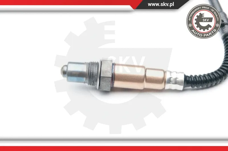 Lambda Sensor (09SKV869)