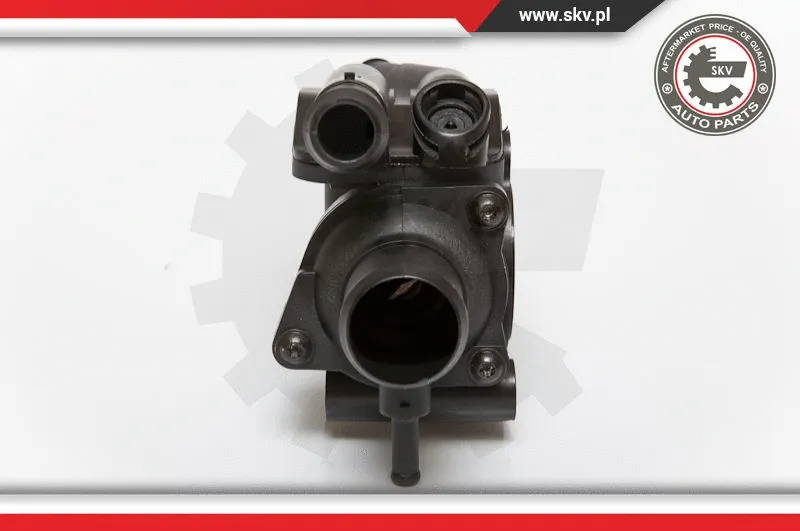 Thermostat, coolant