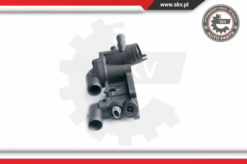 Thermostat, coolant