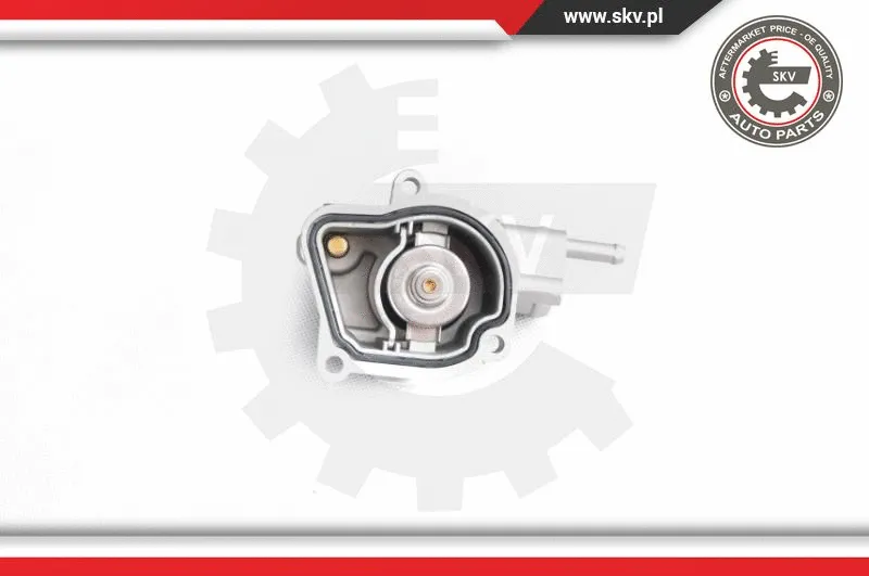 Thermostat, coolant