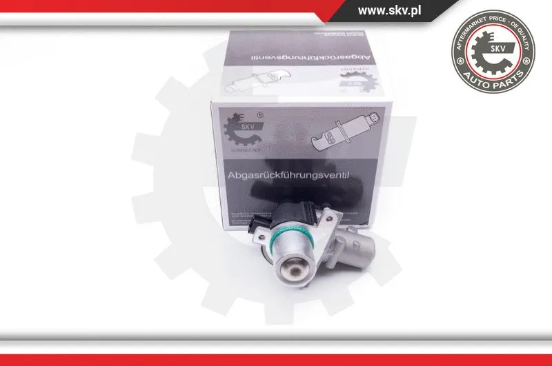 EGR Valve (14SKV163)