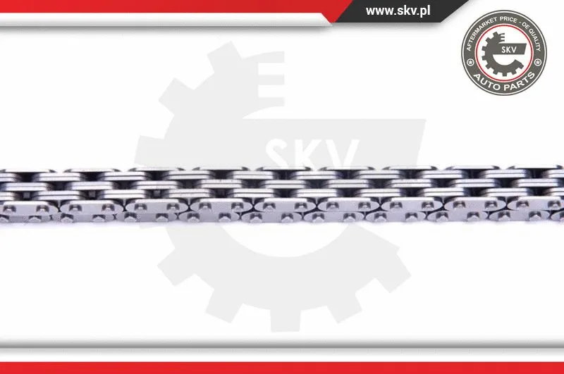 Timing Chain Kit