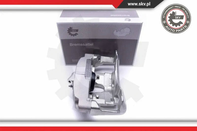 Brake Caliper (55SKV631)