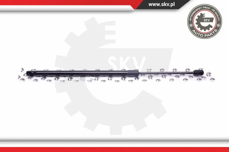 Gas Spring, boot/cargo area