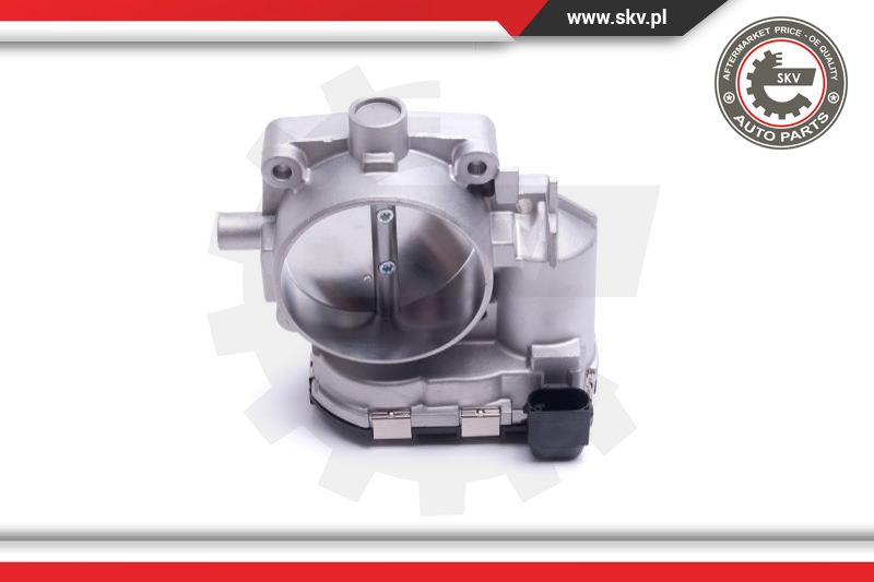 Throttle Body