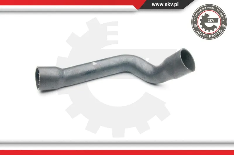 Charge Air Hose (24SKV063)