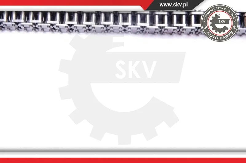 Timing Chain Kit
