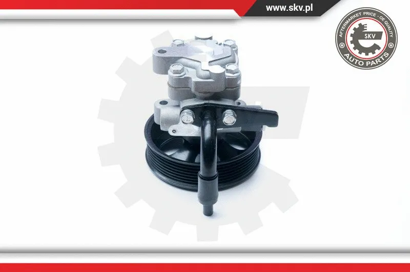 Hydraulic Pump, steering (10SKV201)