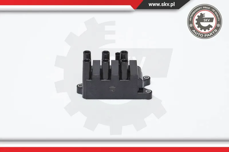 Ignition Coil (03SKV161)