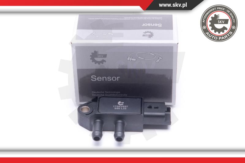 Sensor, exhaust pressure (17SKV657)