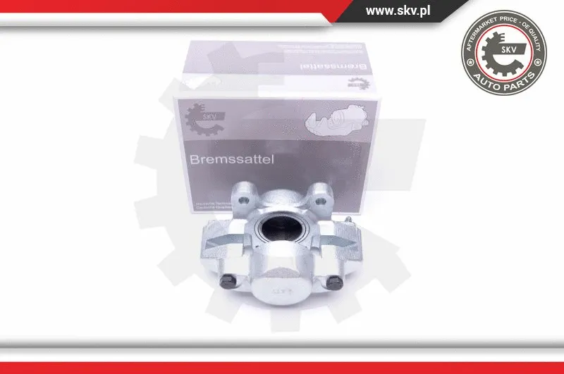 Brake Caliper (45SKV861)