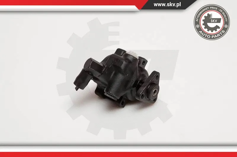 Hydraulic Pump, steering (10SKV056)