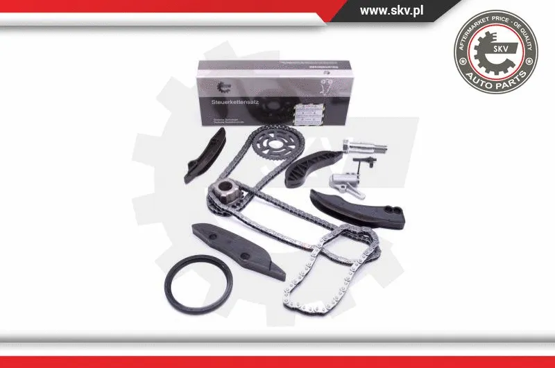 Timing Chain Kit (21SKV122)