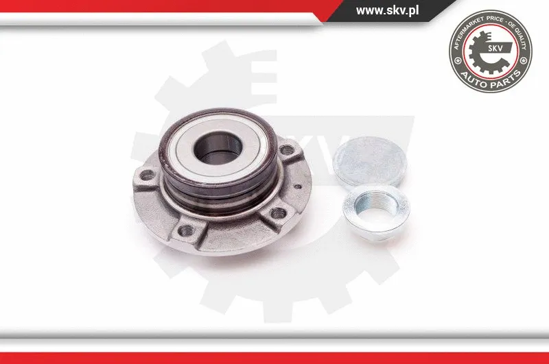 Wheel Bearing Kit