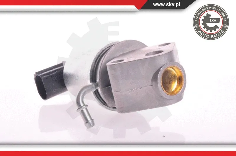 EGR Valve