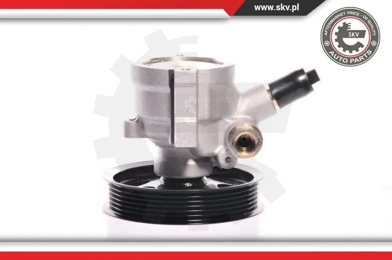 Hydraulic Pump, steering (10SKV108)