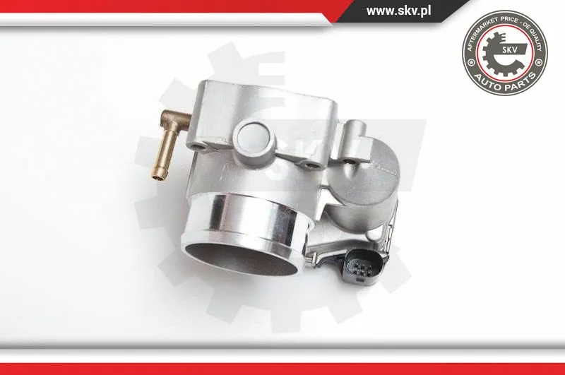 Throttle Body (12SKV008)