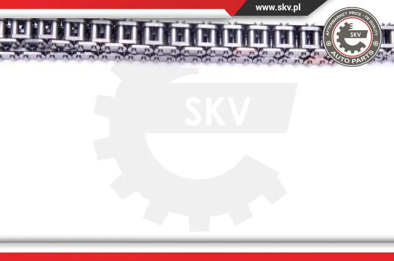 Timing Chain Kit