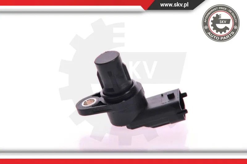 Sensor, camshaft position (17SKV229)