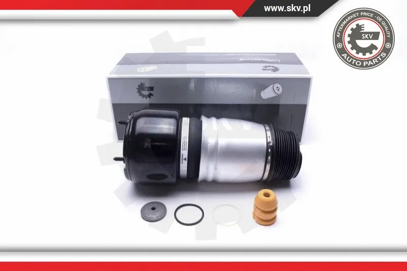 Air Suspension Strut (58SKV064)