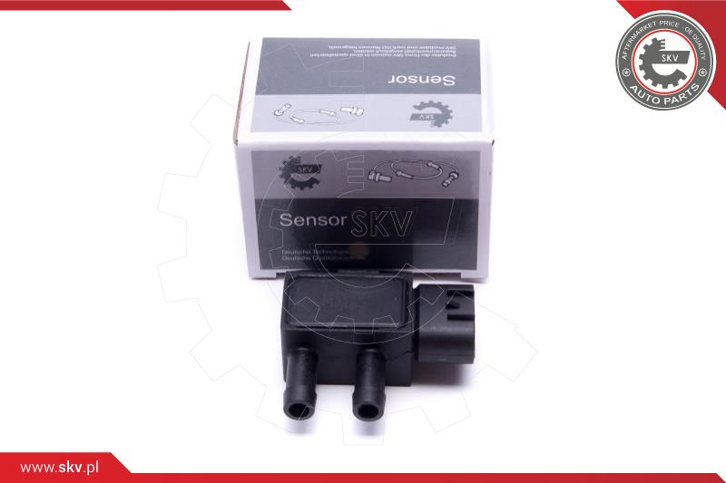 Sensor, exhaust pressure (17SKV784)