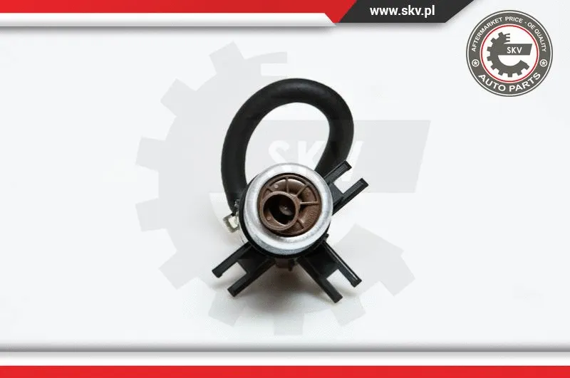 Fuel Feed Unit (02SKV729)