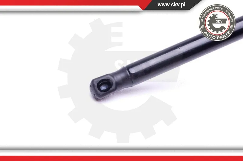 Gas Spring, boot/cargo area